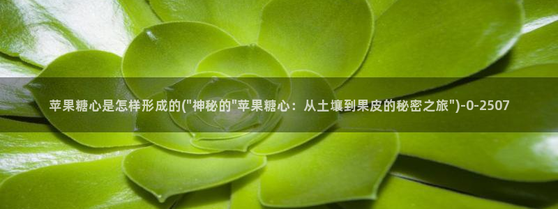 糖心vlog小二