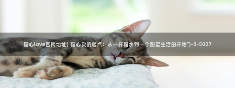 糖vlog