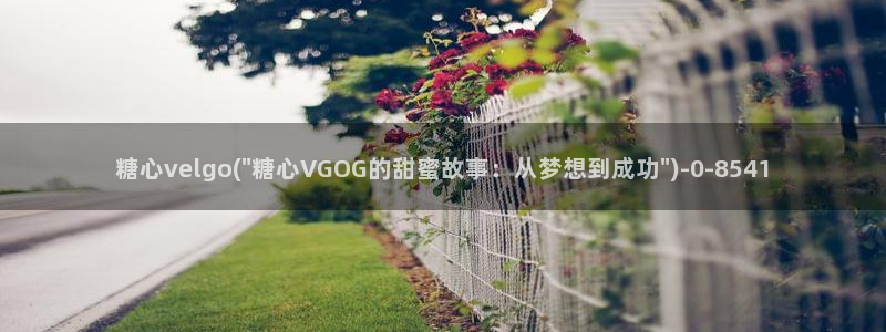 心糖vlog日常