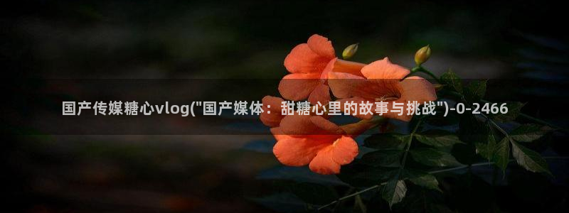 糖心vlog在线视频