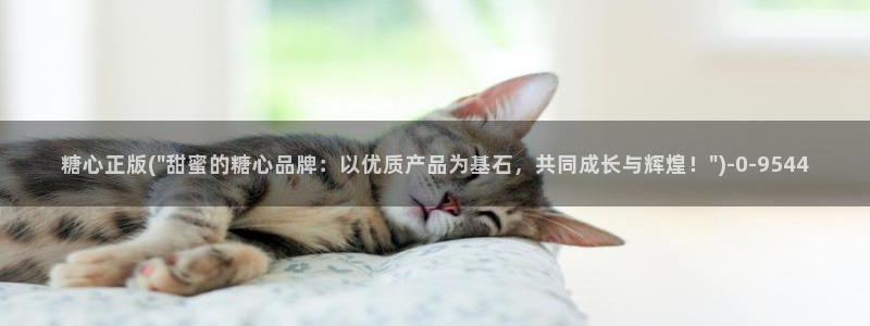 糖心vlog.www